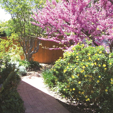 Country Gardens Motor Inn - Brisbane Tourism 1