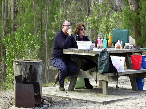 Cypress-pine Campground - Tourism Brisbane 0