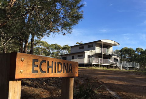 Echidna On Bruny - Tourism Brisbane 0