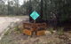 Echidna On Bruny - thumb 1