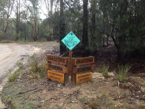 Echidna On Bruny - Tourism Brisbane 1