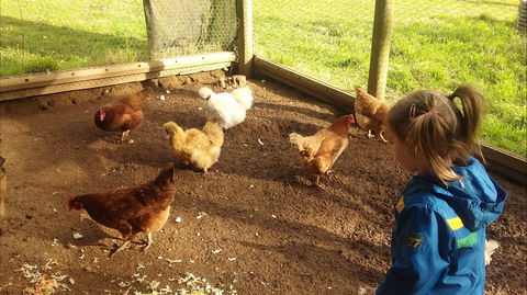 Emerald Park Holiday Farm - Brisbane Tourism 2