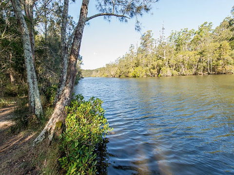 Ferny Creek Campground - Brisbane Tourism 0