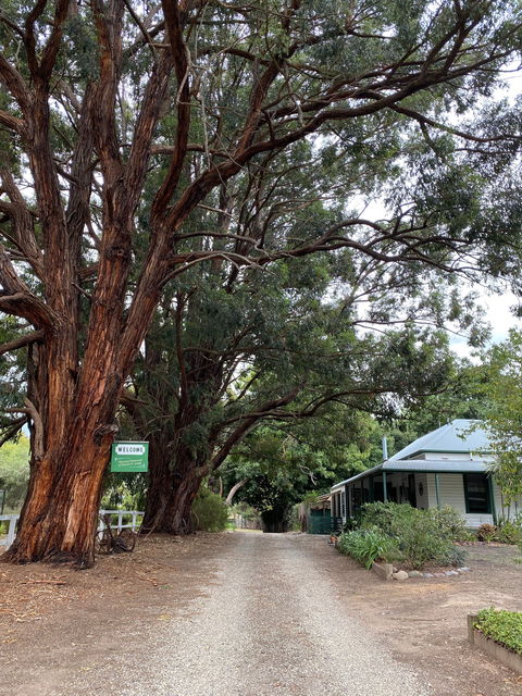 Fernleigh Accommodation - Brisbane 4u 0