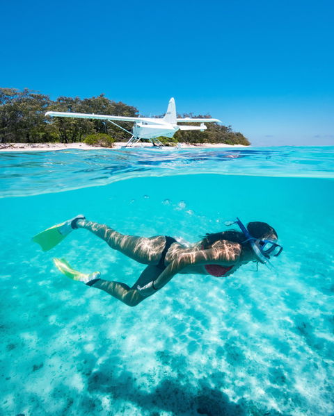 Heron Island Resort - Brisbane 4u 1