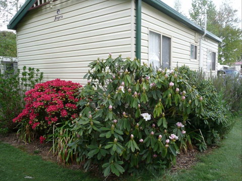 Jenolan Caravan Park - Tourism Brisbane 0