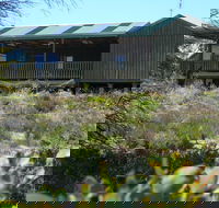 Melaleuca - Eco and Pet Friendly  Harbor Point Cabins - Tourism Brisbane