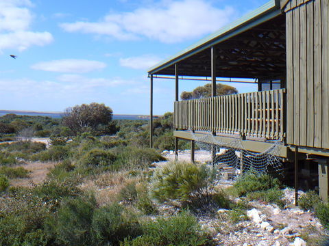Melaleuca - Eco And Pet Friendly,  Harbor Point Cabins - Tourism Brisbane 1