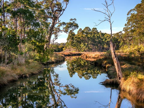Saintys Creek Cottage - Tourism Brisbane 1