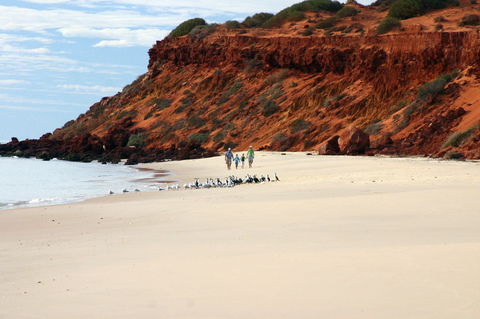 South Gregories Camp At Francois Peron National Park - Brisbane Tourism 0