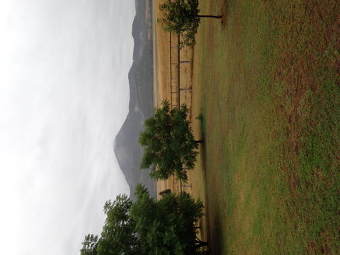 The Old Dairy At Baerami - Brisbane 4u 2