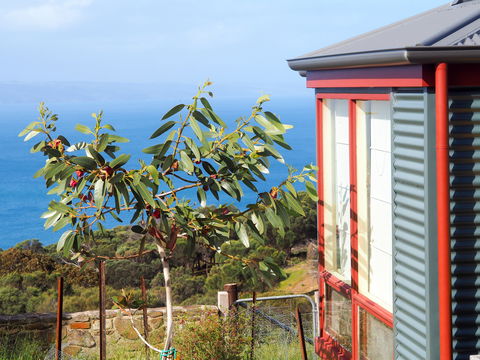 The Grass Tree Coastal Retreat Kangaroo Island - Brisbane 4u 1