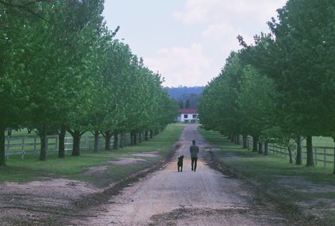 The Oaks Ranch And Country Club - Brisbane Tourism 1