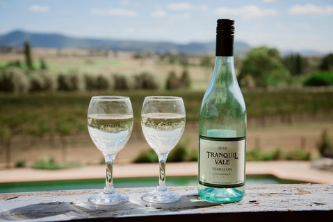 Tranquil Vale Vineyard - Tourism Brisbane 0