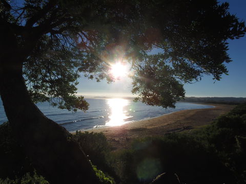 Apex Beachside Holiday Park - Brisbane 4u 1