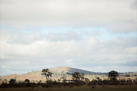 Aurelias Farm Bed And Breakfast - Brisbane 4u 1