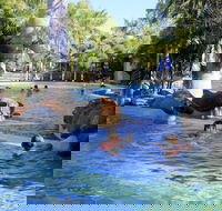 Big4 Aussie Outback Oasis Holiday Park - Tourism Brisbane