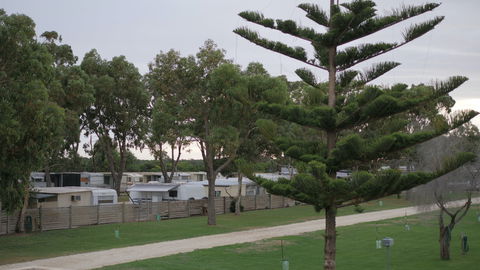 Cape Jaffa Caravan Park - Brisbane Tourism 2