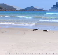Eagles Rise Tasmania - Tourism Brisbane