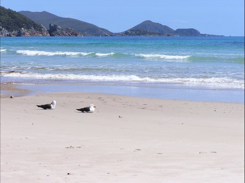Eagles Rise Tasmania - Tourism Brisbane 0