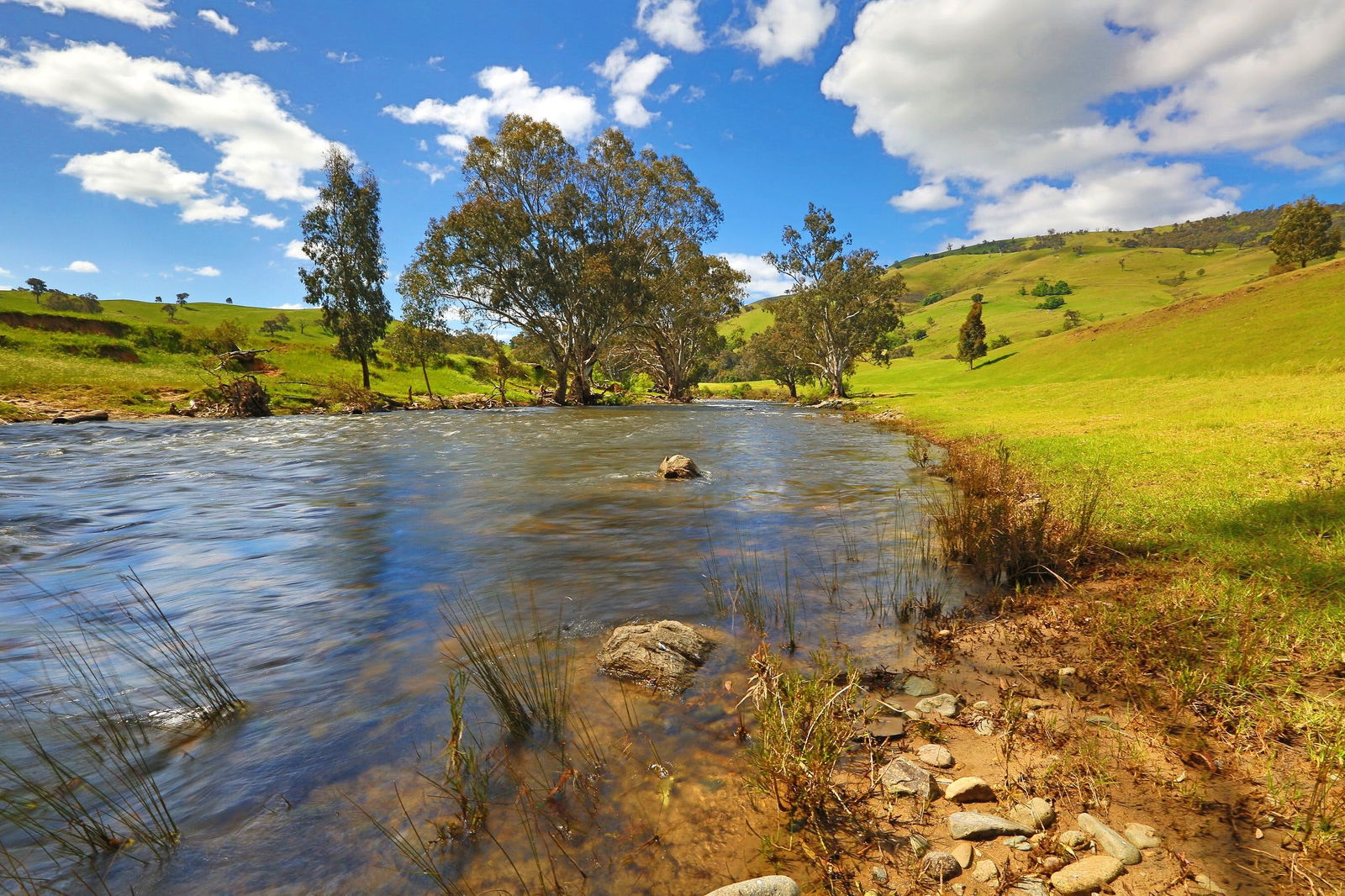 Tumut Plains NSW Tourism Brisbane