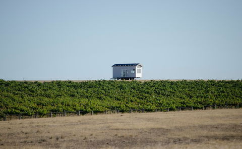 Hounds Run Vineyard - Brisbane Tourism 0