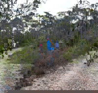 Ingar campground - Tourism Brisbane