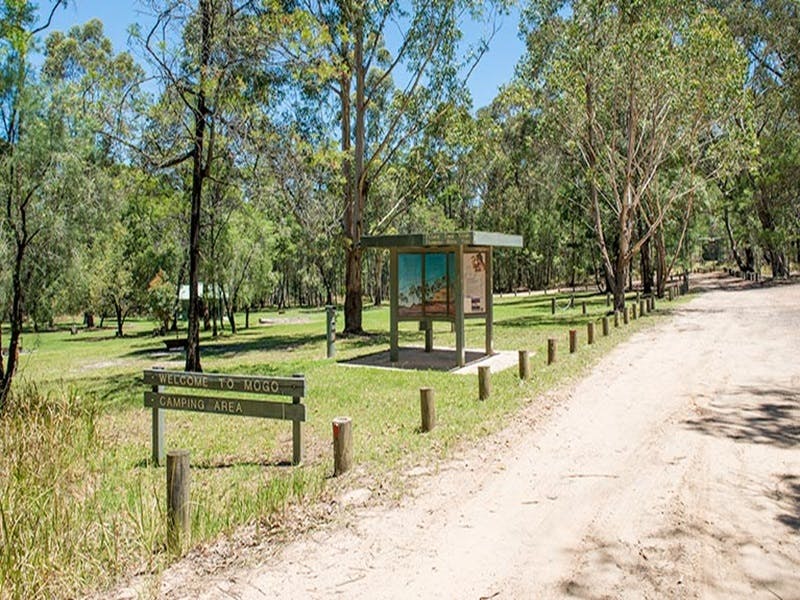 Mogo Creek NSW Brisbane Tourism