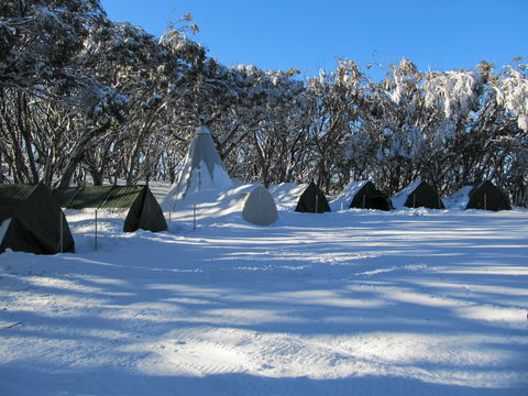 Mt Stirling Alpine Winter Camp - Tourism Brisbane 0