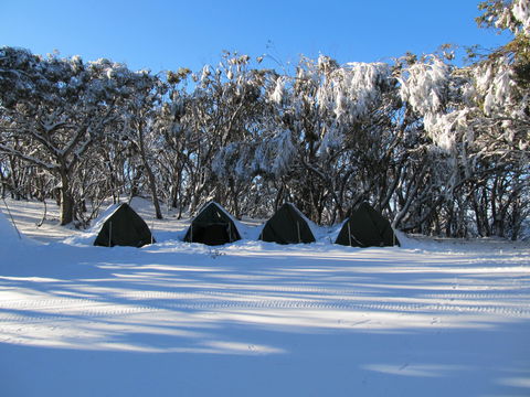 Mt Stirling Alpine Winter Camp - Tourism Brisbane 1