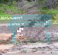 Nal-a-wort Campground - Canunda National Park - Brisbane 4u