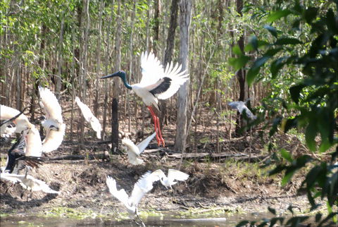 Rakhi Retreat - Tourism Brisbane 0