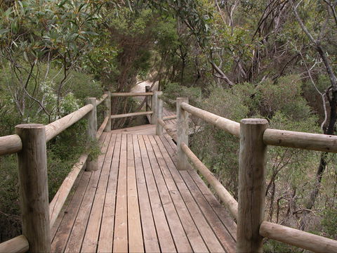 Raven Cottage KI - Brisbane 4u 2