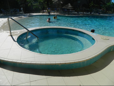Royal Palm On The Beach - Tourism Brisbane 2