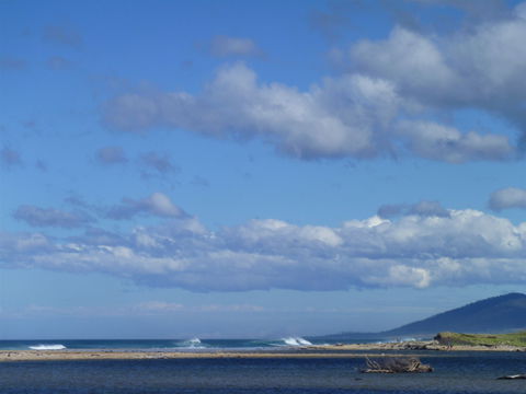 Scamander On The Beach - Brisbane Tourism 1