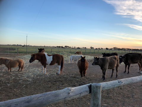 Tarnasey Farm - Pa's Place - Brisbane 4u 1