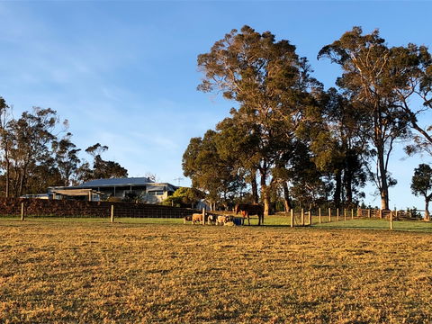 Great Southern Outback Tours & Accommodation - Brisbane 4u 2