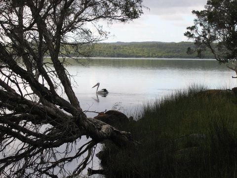 The Cove - Tourism Brisbane 0