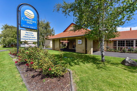 The Henty - Tourism Brisbane 1