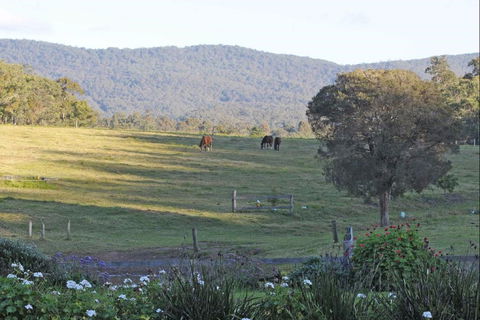 Wallaby Cottage - Tourism Brisbane 0