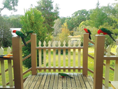Warrumbungles Mountain Motel - Brisbane 4u 0
