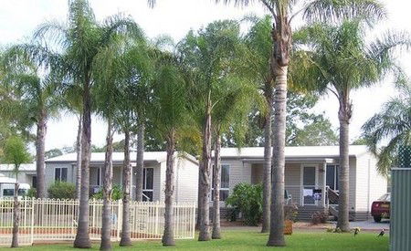 Treehaven Tourist Park - Brisbane Tourism 3