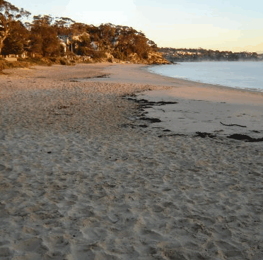 Beachhaven Bed & Breakfast - Tourism Brisbane 5