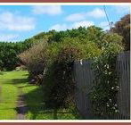 Orchard Cottage - Tourism Brisbane