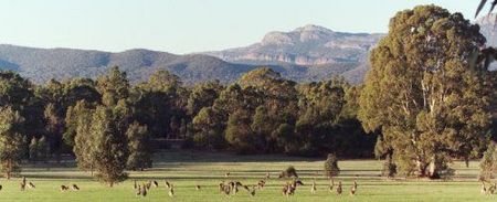 Wartook Gardens - Tourism Brisbane 1