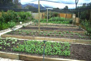 Wartook Gardens - Tourism Brisbane 3