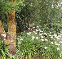 Springbank Bed and Breakfast - Tourism Brisbane
