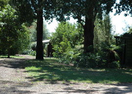 Bloomfield Cottages - Tourism Brisbane 2