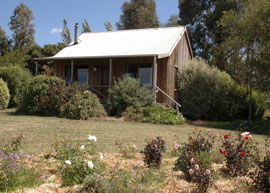 Bloomfield Cottages - Tourism Brisbane 3