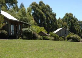 Bloomfield Cottages - Tourism Brisbane 4